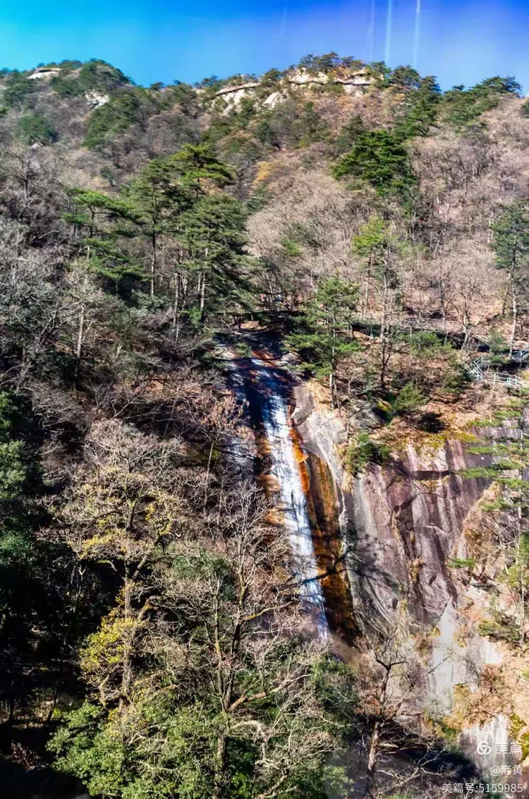 《华东最后一片原始森林》 大别山"天堂寨"行摄记 2023.11.20